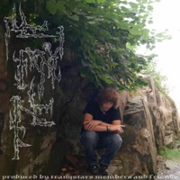 Temple Adventures: The Acid Saga - Cgull