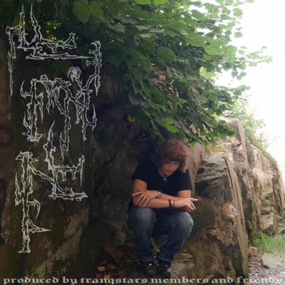 Temple Adventures: The Acid Saga