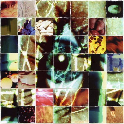 21St Century In A Nutshell