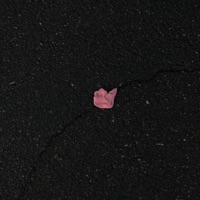 Love is.. - Single - AMCHI