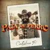 Pata De Perro