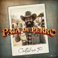 Pata De Perro