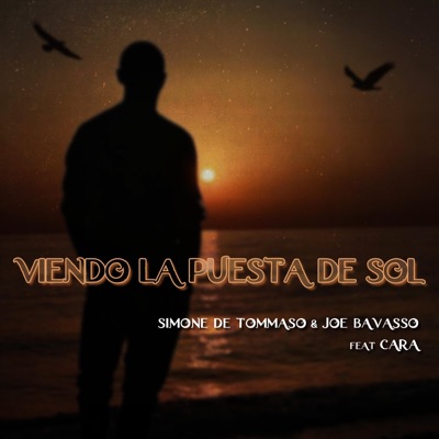 Viendo la Puesta de Sol (feat. Cara & Joe Bavasso) - Single