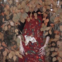 NOWIFI2K18 - Dari Loso