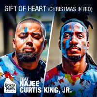 Gift of Heart (Christmas in Rio) (feat. Curtis King Jr, Najee & Robert Hebert) [Radio Edit] - Single - Bossa Nova Noites
