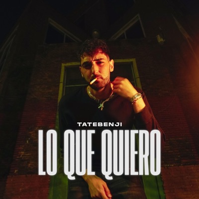 Lo Que Quiero (feat. Donyy) - Single