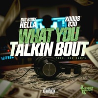 What You Talkin Bout (feat. Xodus830) - Single - Big Body Hella