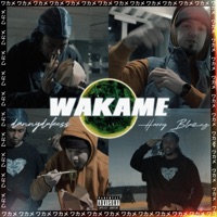 WAKAME (feat. Harry Blazng) - Single - dannydukess