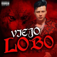 VIEJO LOBO - Single - Gil Perez