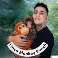 I love Monkey Punch - Single - Mc Five