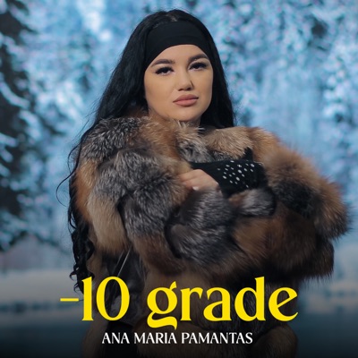 -10 grade - Single