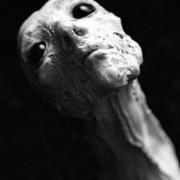 Blood_ - Single - PROPHET & ATRXX