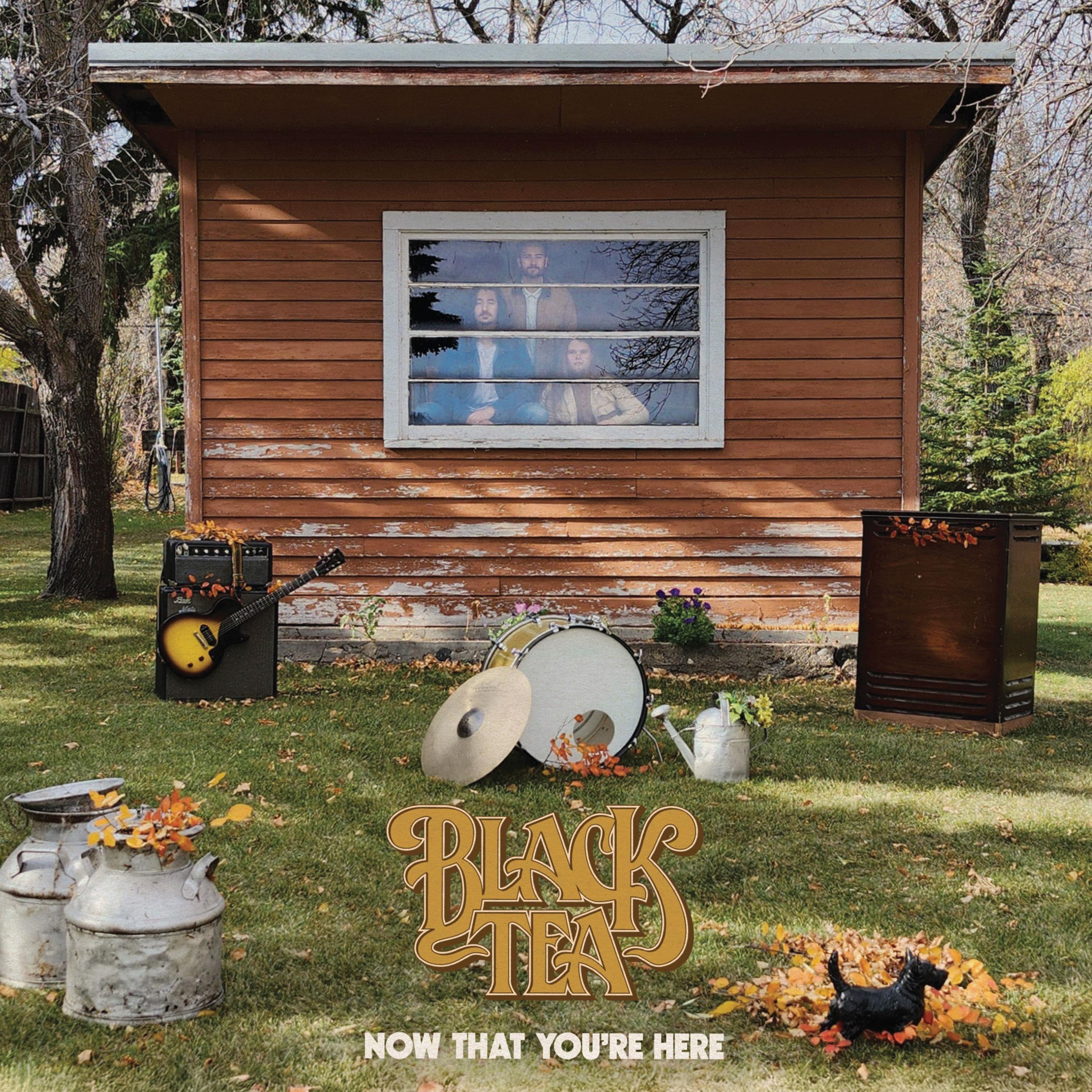 Now That You're Here