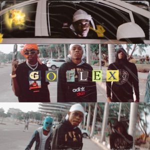 Go Flex