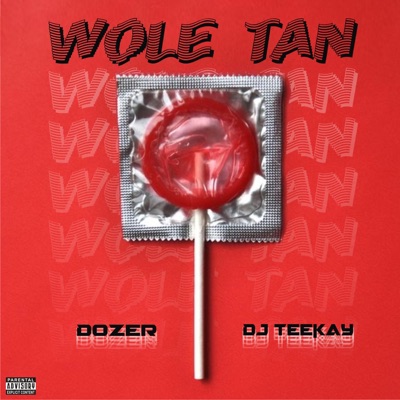 WOLE TAN (feat. DJ TEEKAY) - Single