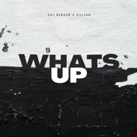 Whats Up (feat. Zillion) - Single - Vdj Benzor
