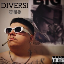 DIVERSI Schima