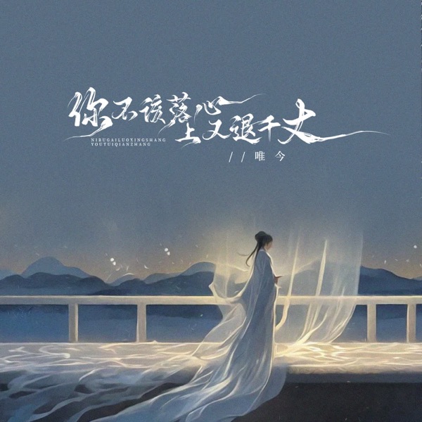 你不该落心上又退千丈 - Single