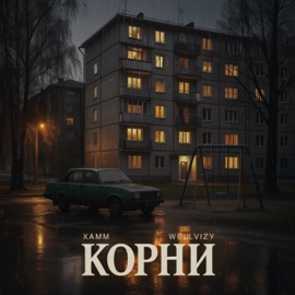 Корни Xamm & WELLVIZY