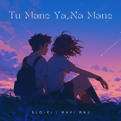 Tu Mane Ya Na Mane Lofi - Single