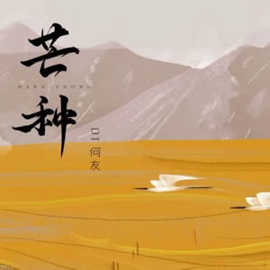 芒种 (DJ何友版) - Single