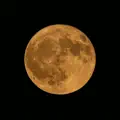 Sturgeon Moon