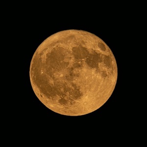 Sturgeon Moon - Single