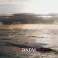 Elfida,DNDM