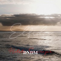 Elfida,DNDM