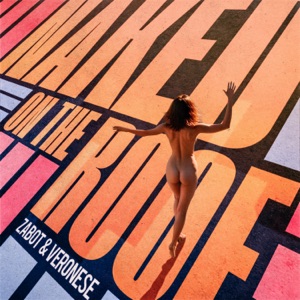 Naked On the Roof