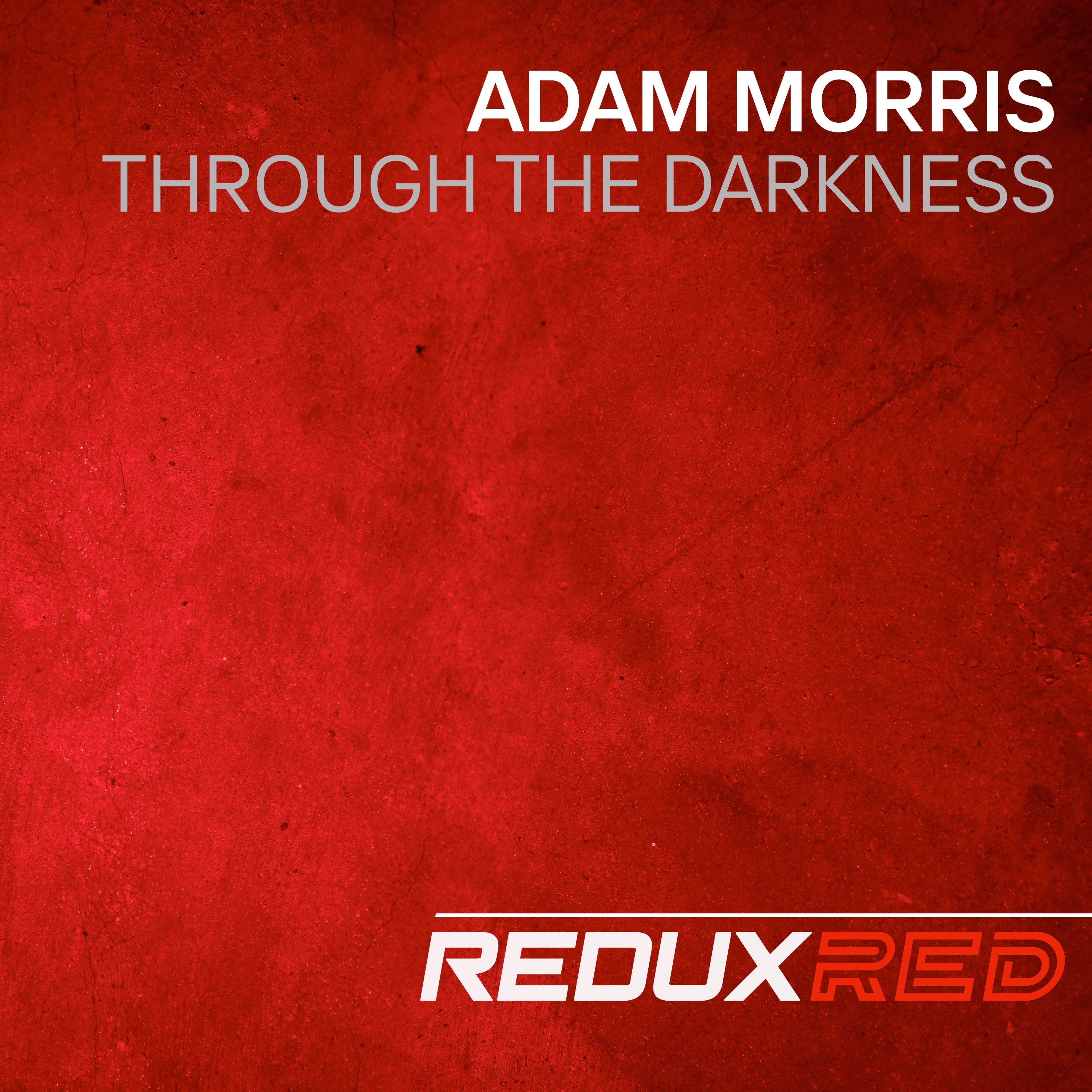 Through the Darkness - Single