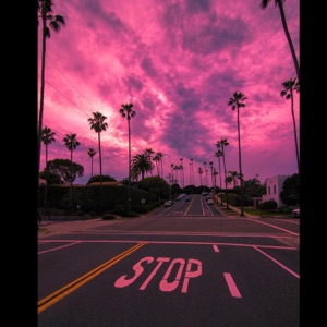 Nights (feat. Vita) - Single