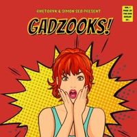 Gadzooks - Single - Rhetoryk & Simon Sed