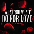 "What You Won't Do For Love"