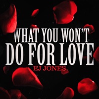 What You Won’t Do for Love - Single - EJ Jones
