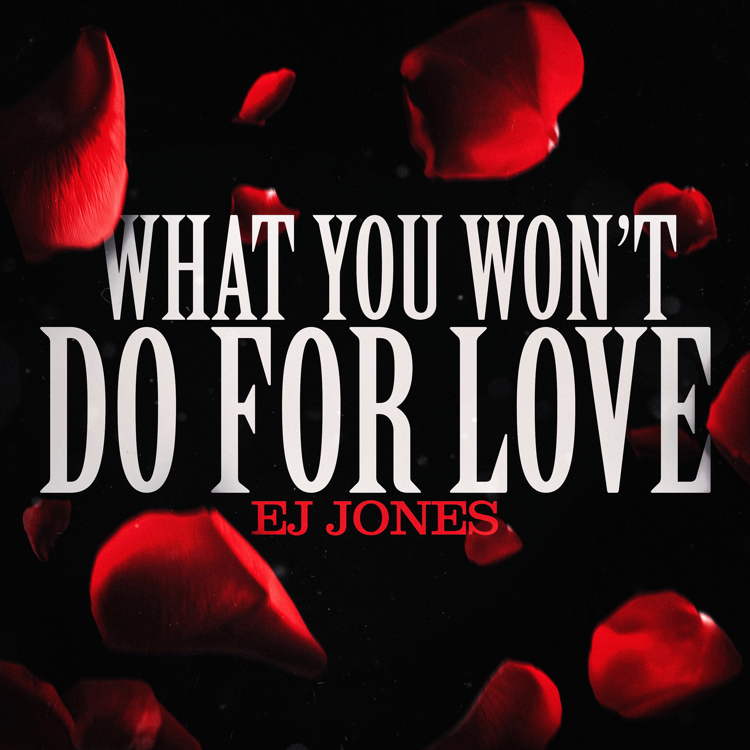 What You Won’t Do for Love - Single