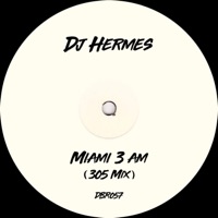 Miami 3 Am - Single - Dj Hermes