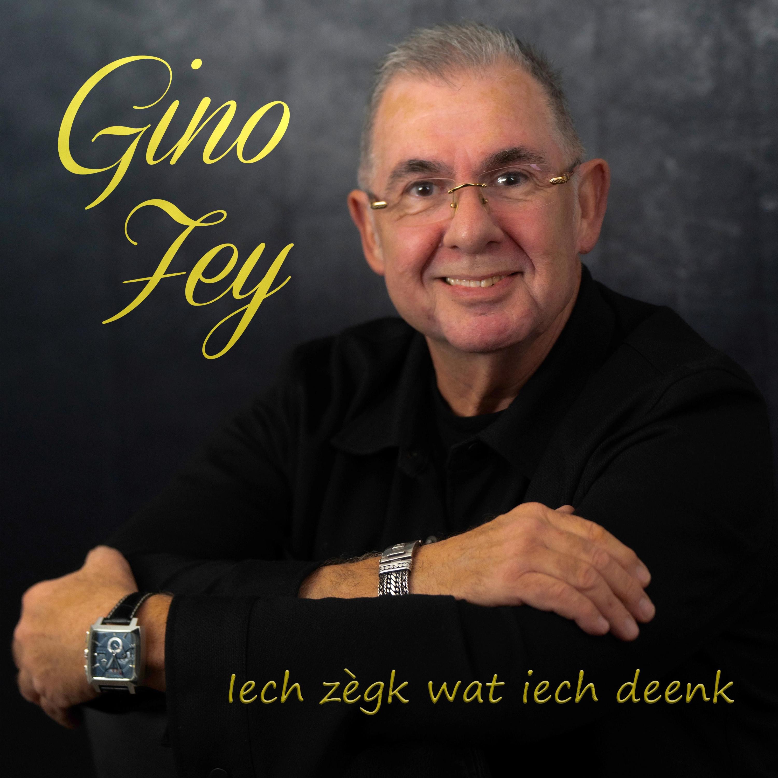 Iech zègk wat iech deenk - Single