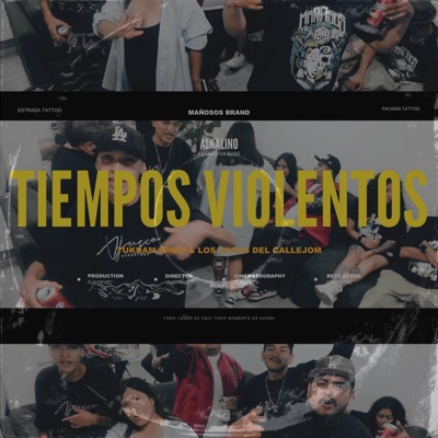 Tiempos Violentos (feat. Los Locos Del Callejon) - Single