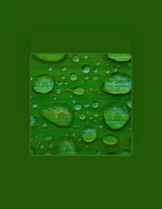 Bruit de la pluie pour dormirを聴いたり、ミュージックビデオを鑑賞したり、経歴やツアー日程などを確認したりしましょう！