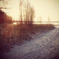 Stay here forever - Single - catgif & achorda