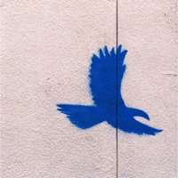 Heart - Single - GARZI