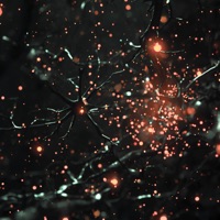 im toxic - Single - FOXYOFF