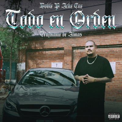 Todo en Orden - Single