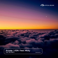 Can You Feel It (feat. Mïcky) - Single - Λrcvde & Vein