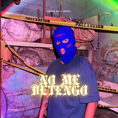 No Me Detengo (feat. Triiky) - Single