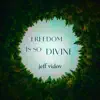 Jeff Vidov - Freedom is so divine