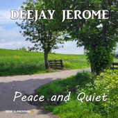 Peace and Quiet (Extended Version) song art