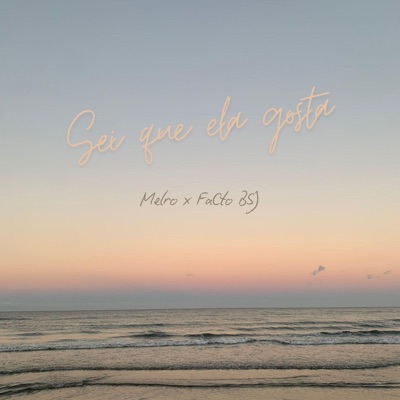 Sei que ela gosta (feat. FaCto BSJ) - Single