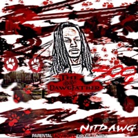 The DawgFather - nitdawg